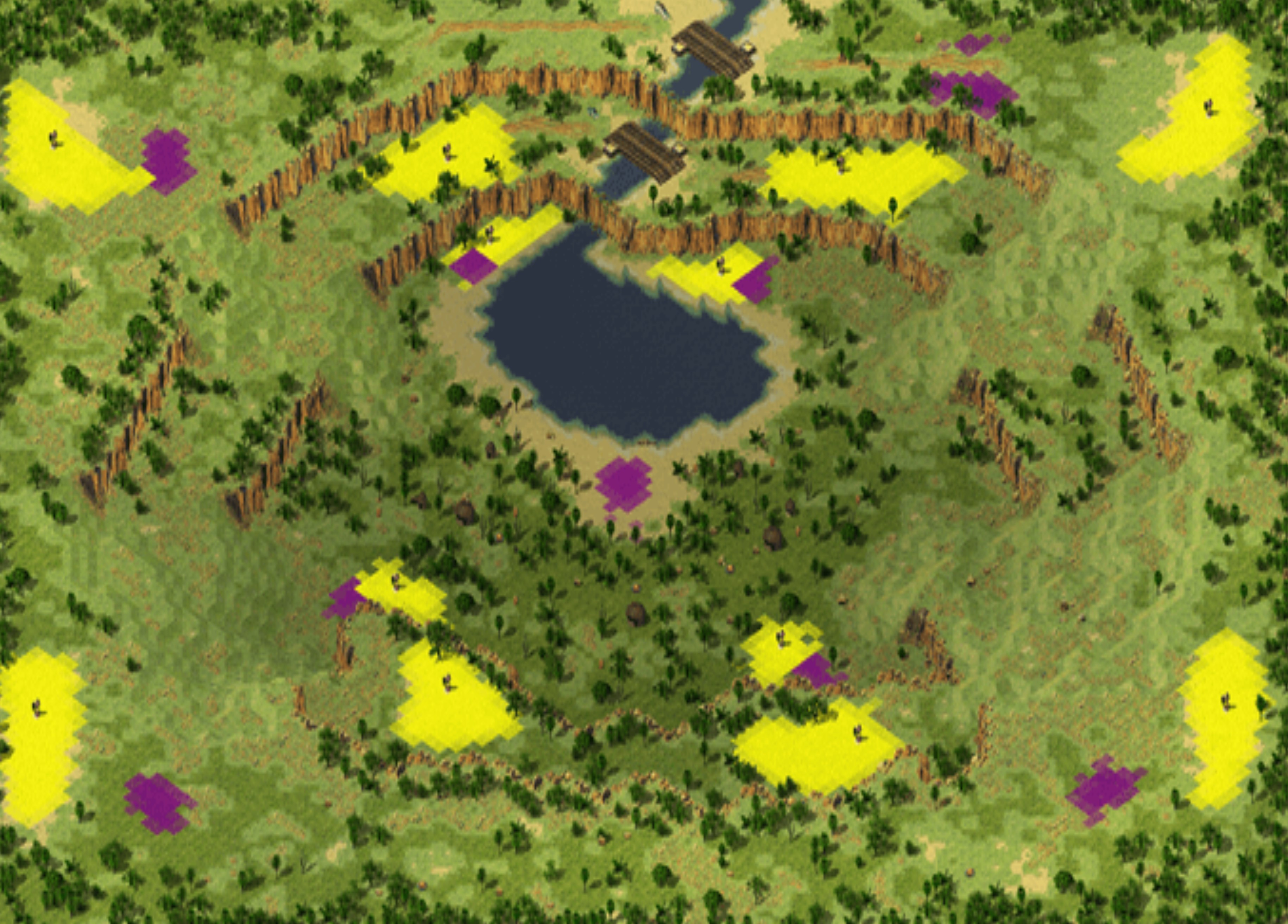 Jungle of Vietnam